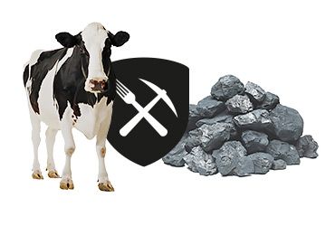 Burgers van de lavagrill